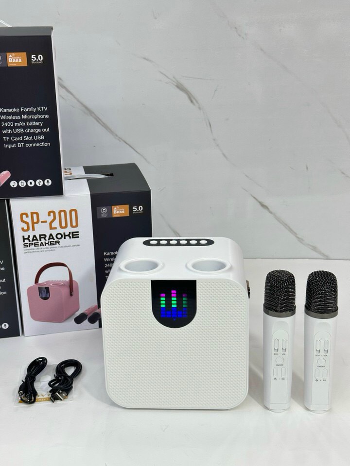 Loa Hát Karaoke SP 200 - kèm 2 Micro không dây bảo hành 12 tháng