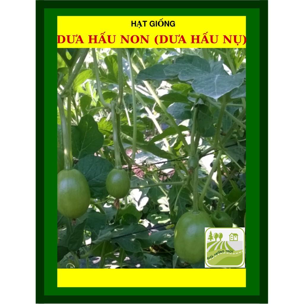 Hạt Giống Dưa Hấu Ăn Non Dưa Hấu Nụ 0.5 Gram