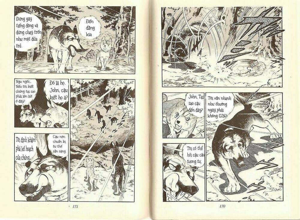 chú chó có nghĩa - ginga nagareboshi gin chapter 10 7