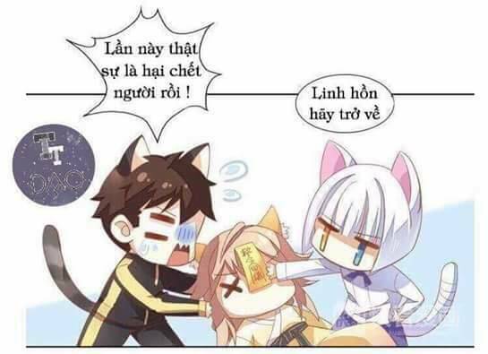 dưới móng vuốt mèo chapter 3 24