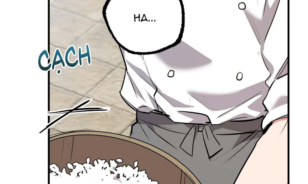 đàn thỏ của habibi chapter 40 182