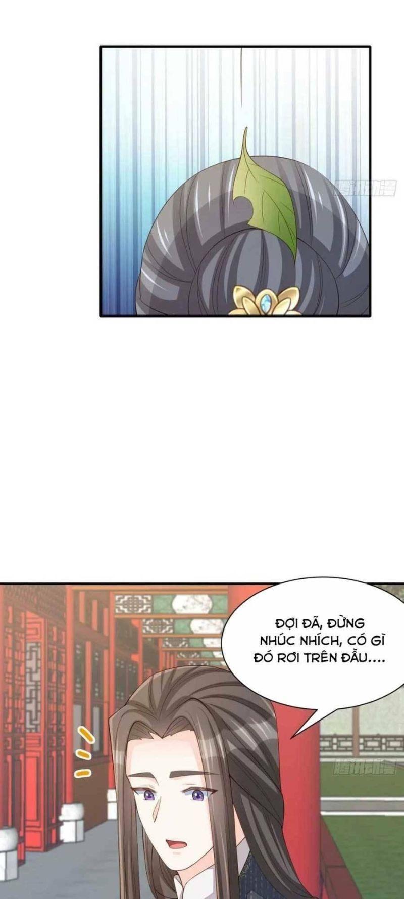 thuần hóa ba ba bạo quân chapter 69 35