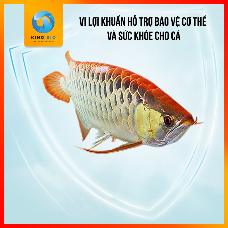Vi sinh dạng nước cao cấp hàng chuẩn xuất thị trường Âu Yee Condense - làm sạch và trong nước bể cá