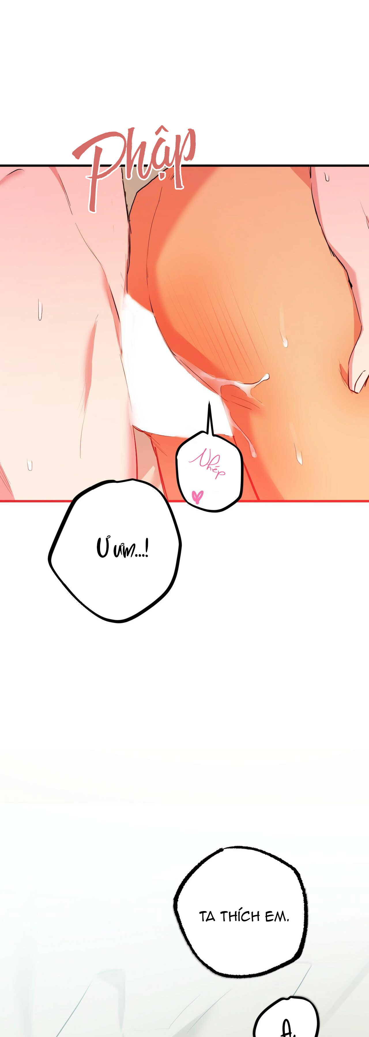 những chú thỏ của hapypy chapter 29 39