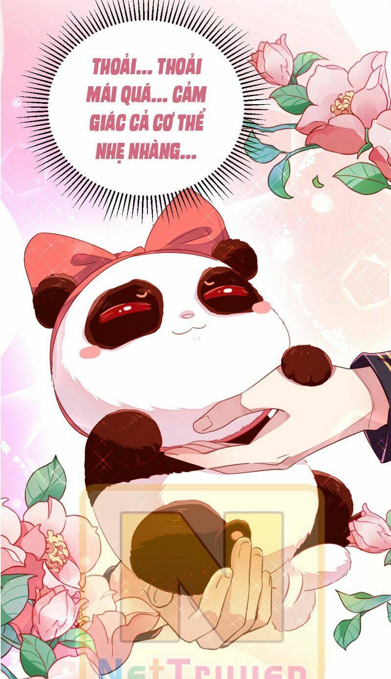 thiên thần gấu trúc muốn được ôm chapter 25 12