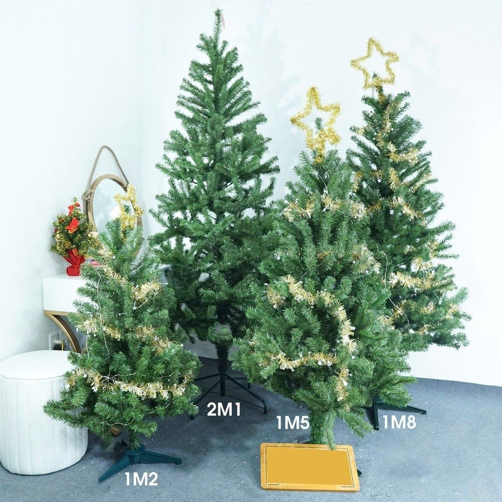 Cây Thông Noel Trang Trí Giáng Sinh Trong Nhà Ngoài Trời Đầu Tròn Nhiều Size Thông 2m, 3m, 1m, Mini