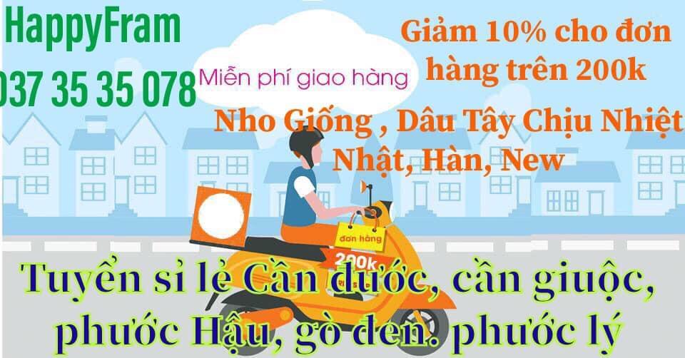NHO MẪU ĐƠN-CÂY GIỐNG