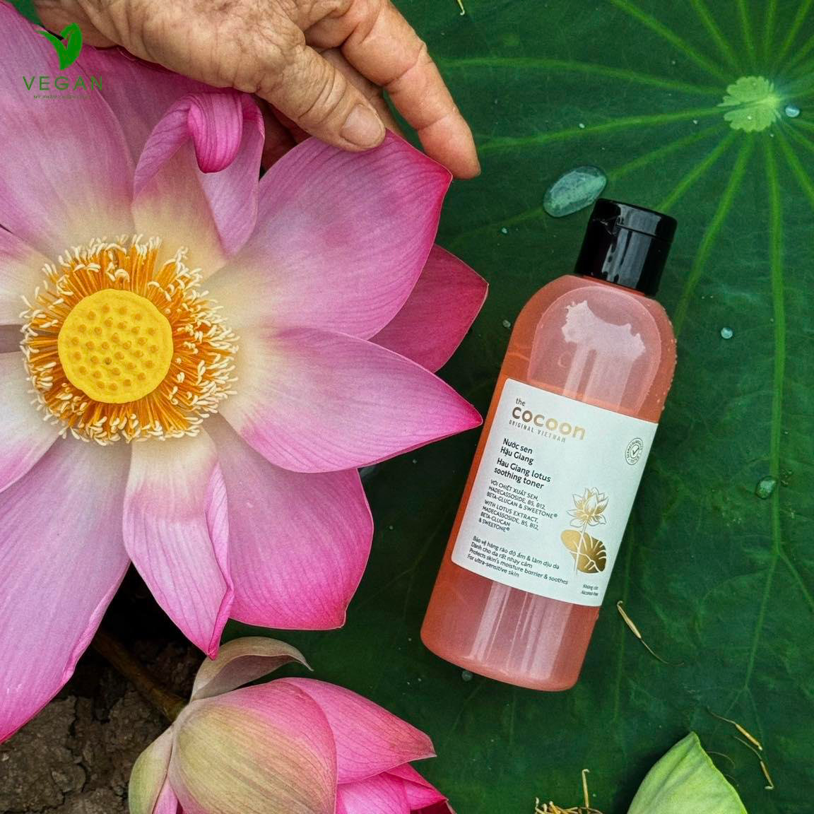 Toner nước cân bằng da SEN Hậu Giang cocoon 310ml