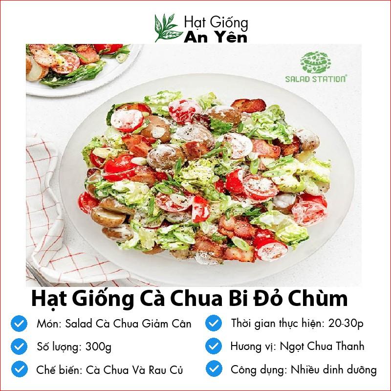 Hạt giống Cà Chua Bi Cao Sản thu hoạch sớm, dễ trồng, nảy mầm cao, sinh trưởng khoẻ