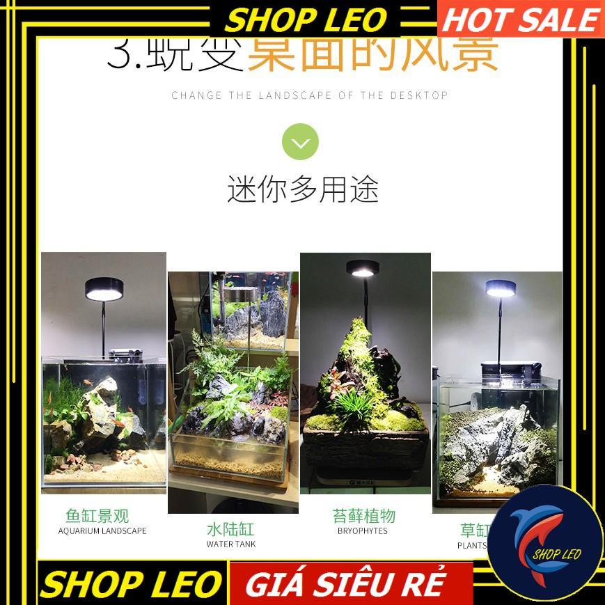 Đèn Led đế gỗ BamBoo 3W - Phụ kiện thủy sinh - shopleo