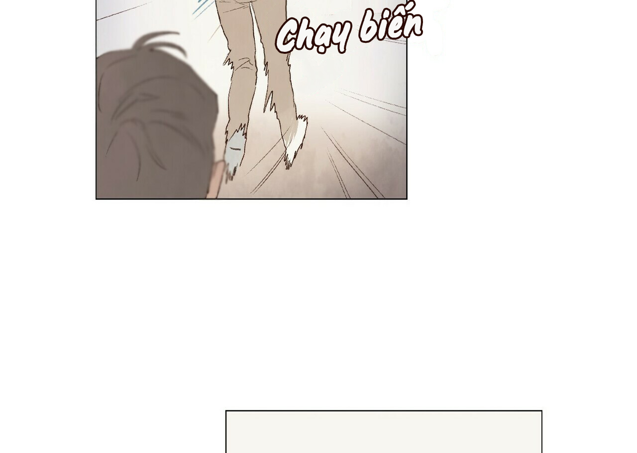 đừng đưa dây xích cho anh ấy chapter 11.3 14