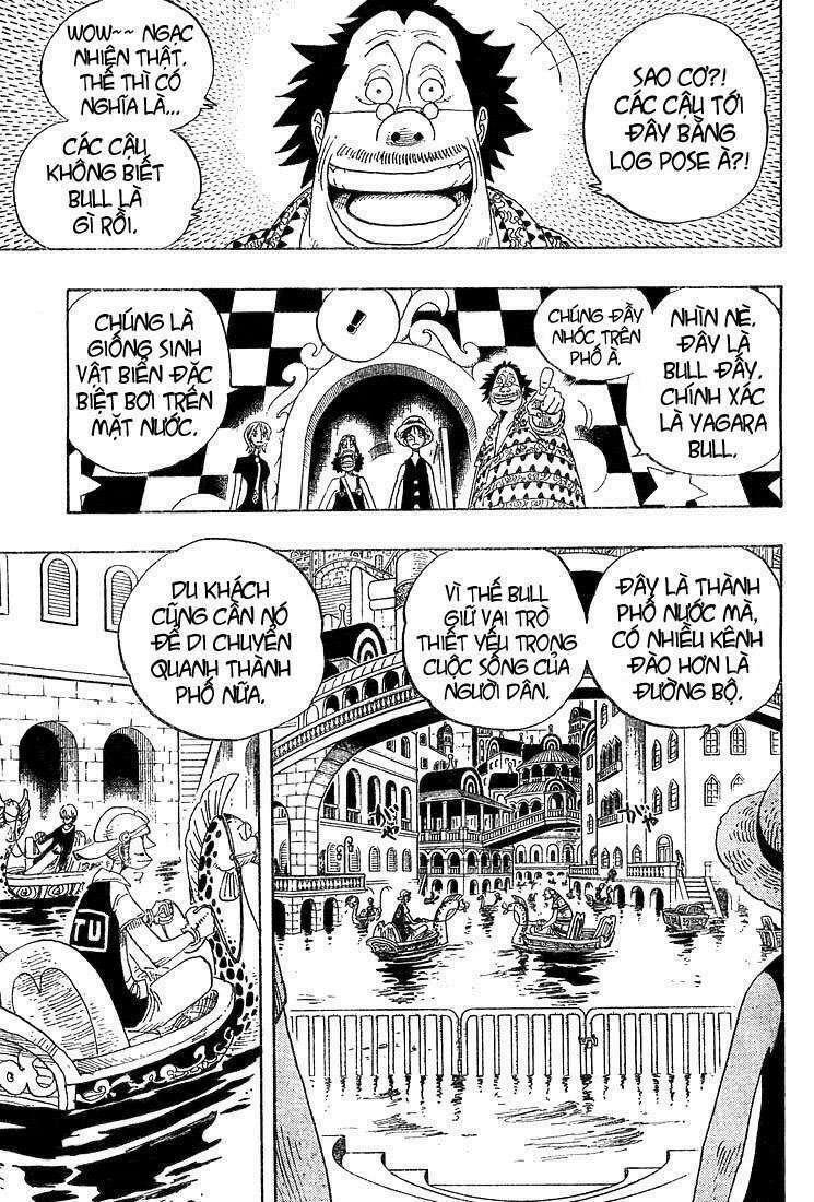 đảo hải tặc - one piece chapter 324 5