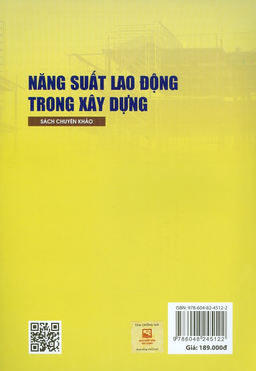 Năng Suất Lao Động Trong Xây Dựng - Sách Chuyên Khảo