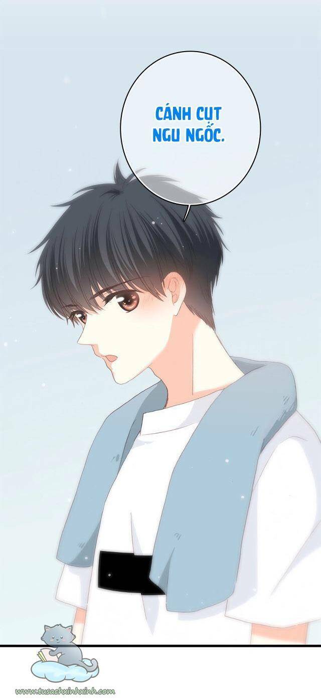 con tim rung động 3 chapter 54 33