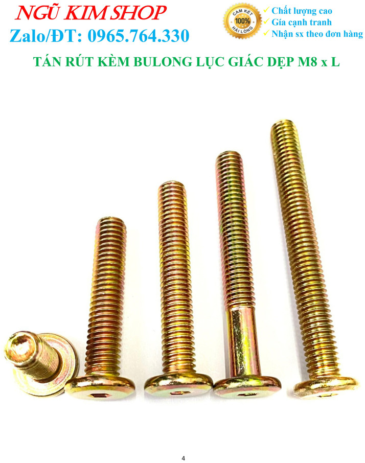 TÁN RÚT KÈM BULONG LỤC GIÁC DẸP M8 x L