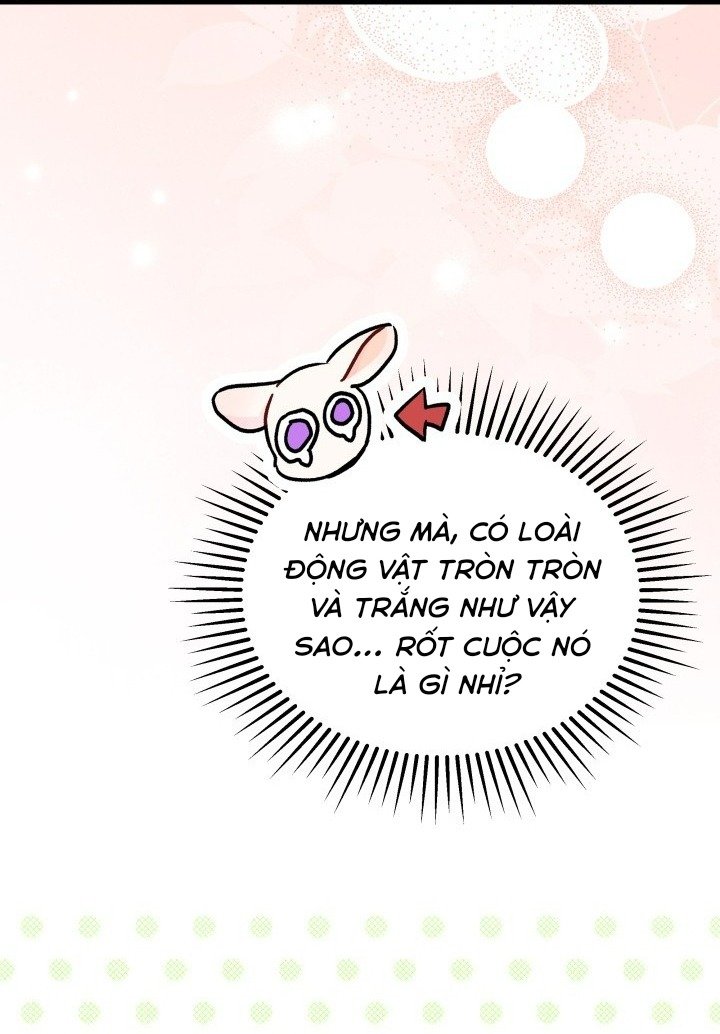 mối liên kết giữa báo đen và bé thỏ chapter 168 21