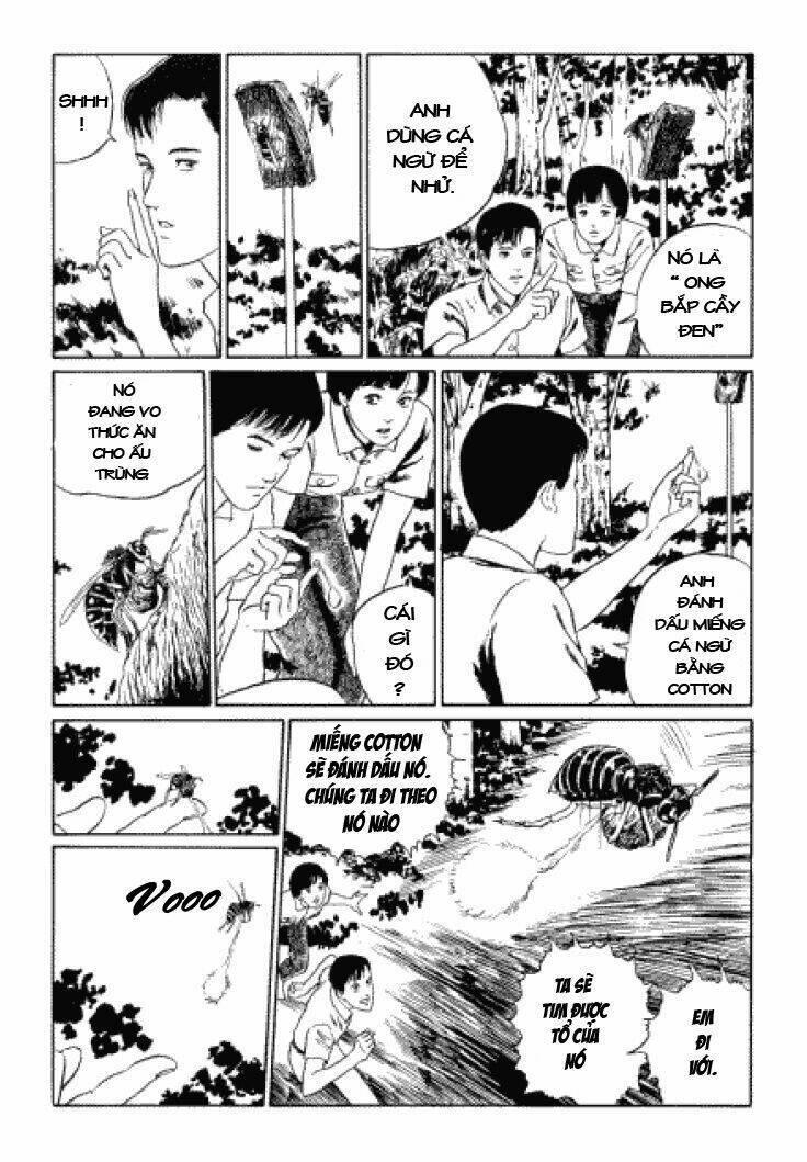 tuyển tập truyện ngắn kinh dị của ito junji chapter 3.3 19