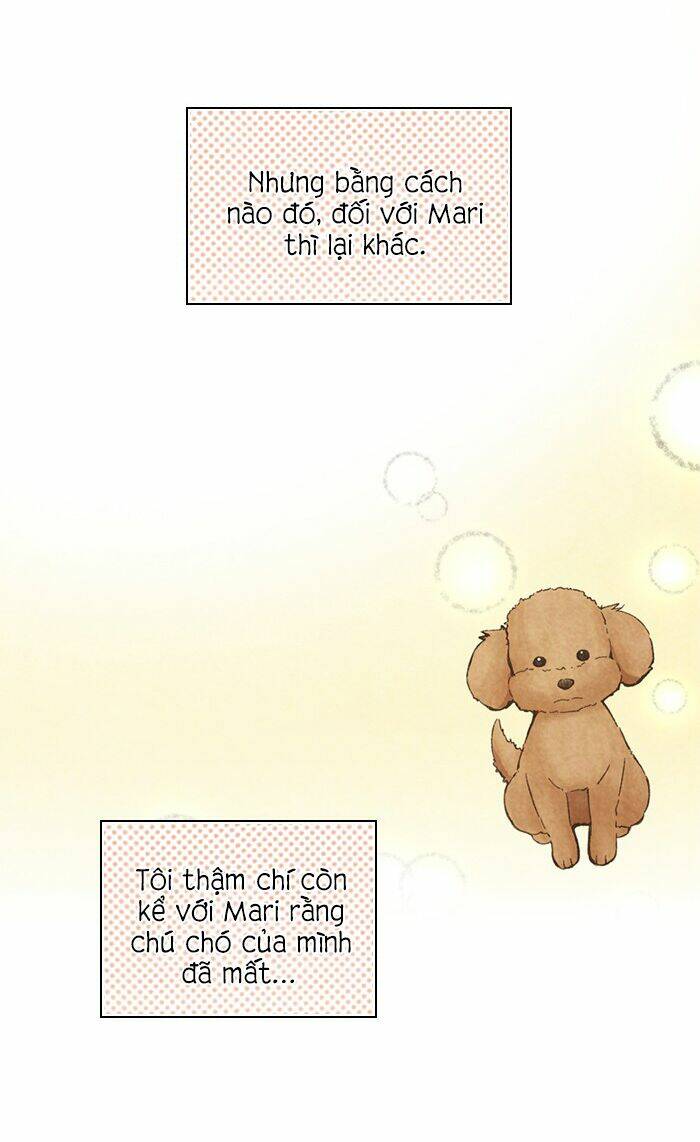 marry me! chapter 76 6