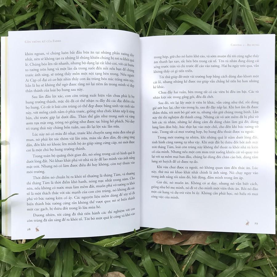 Sách Côn Trùng Ký Của Fabre