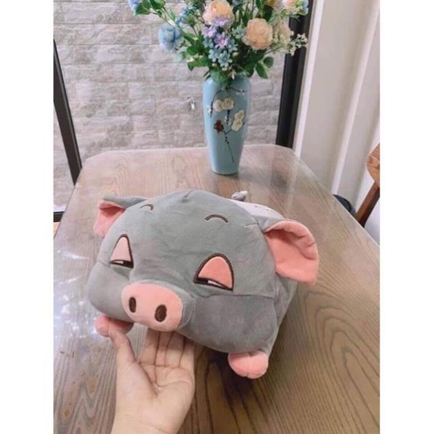 Lộ chăn gối hình heo đờ đẫn Set chăn lợn
