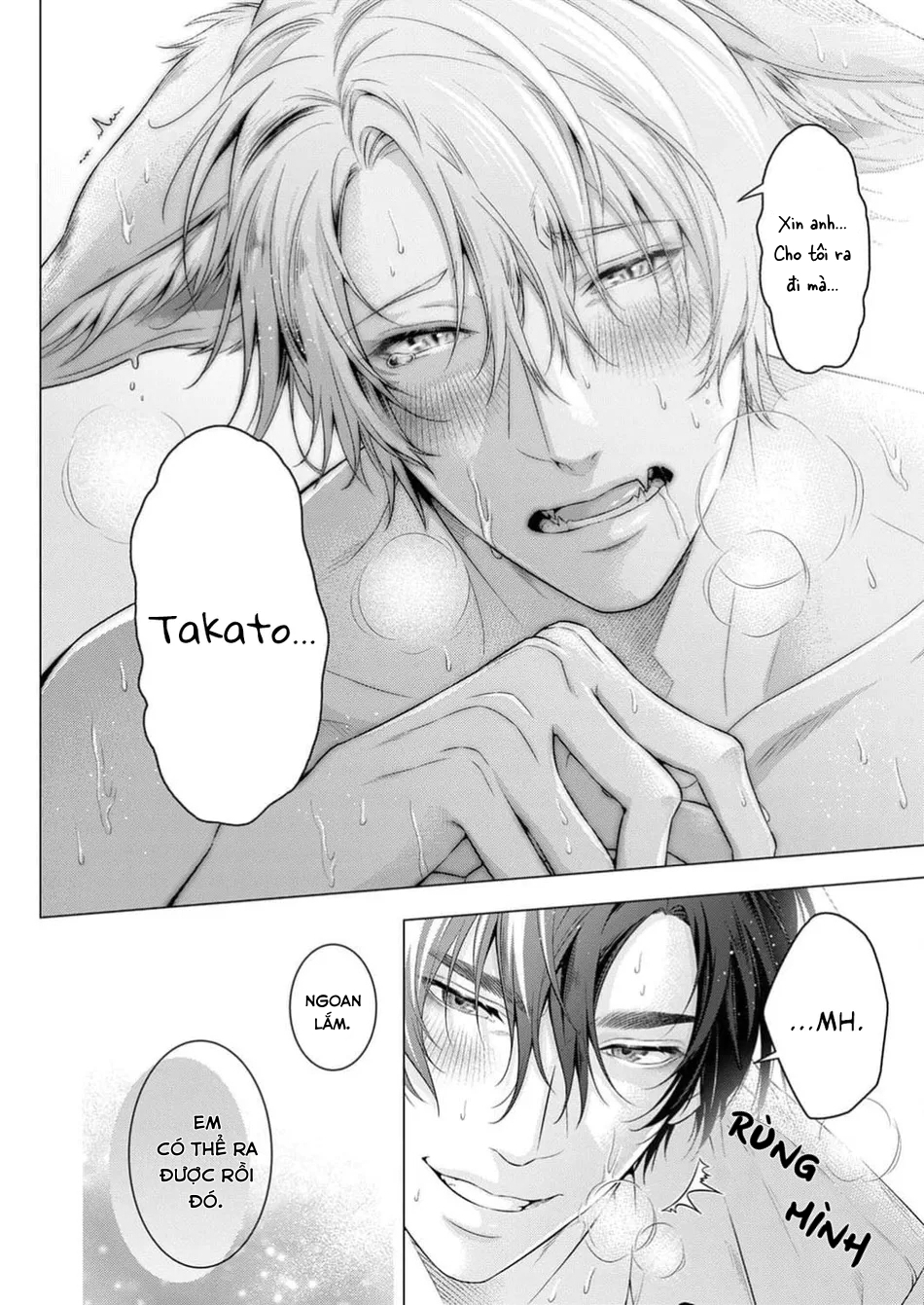 hãy để anh chạm vào cái đuôi hư hỏng này nhé chapter 2 23