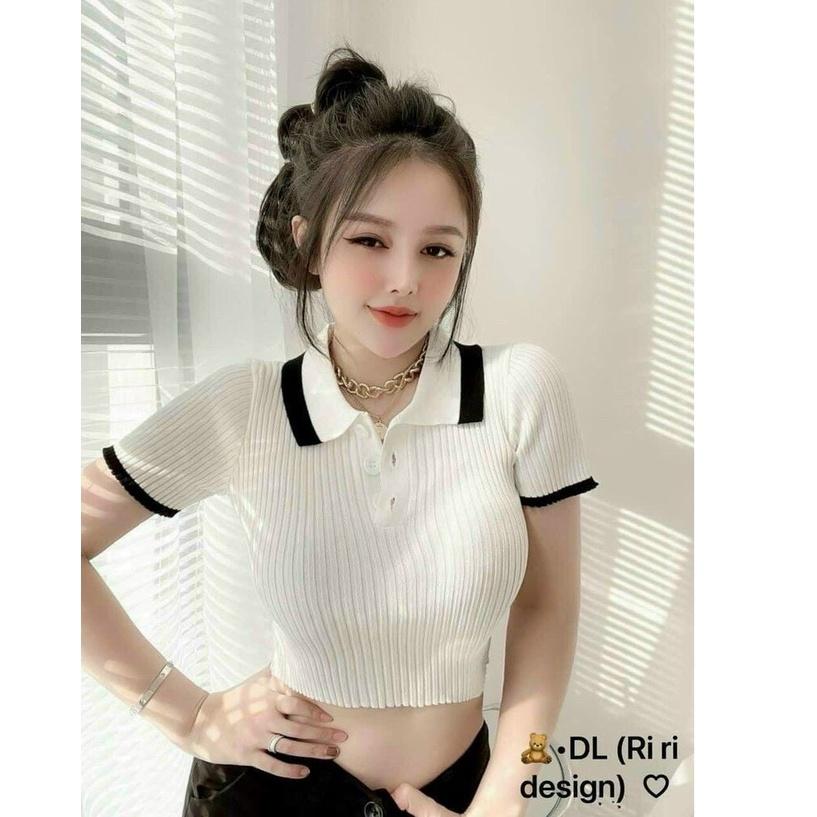 Áo thun nữ form Croptop phối cổ - Chất thun gân dày co giãn tốt - Áo thun nữ có cổ