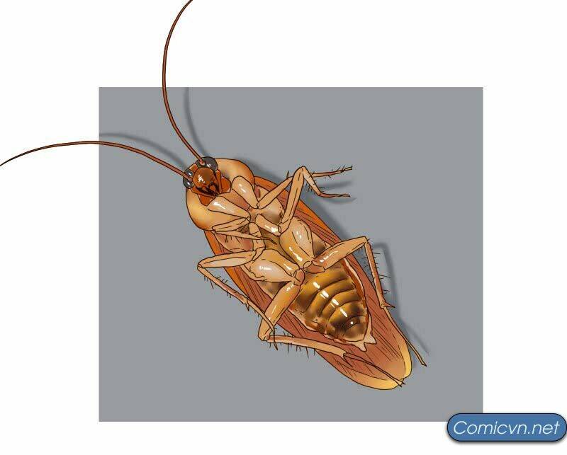 thế giới cận tử chapter 1 1