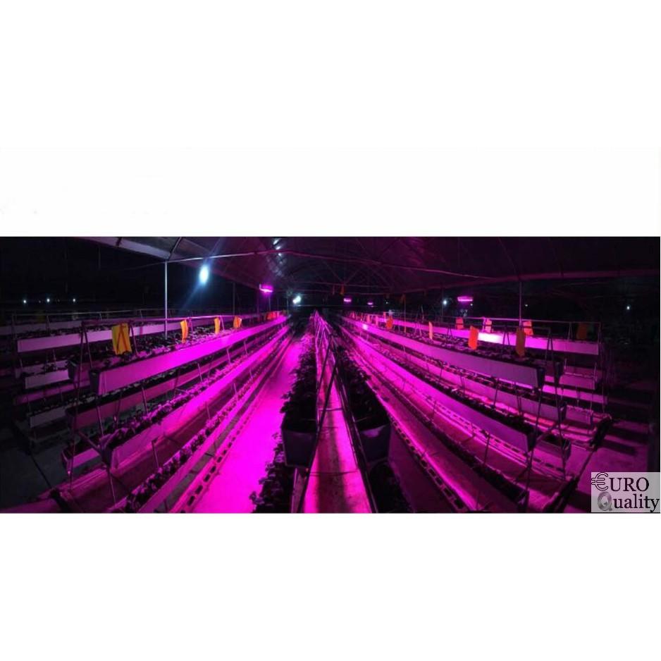 Đèn LED trồng cây trong nhà 300w Super Growth