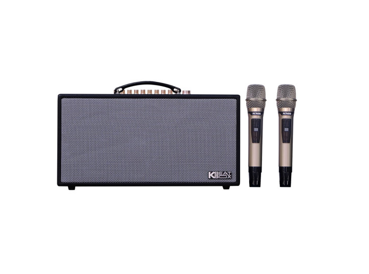 Loa Karaoke Acnos CS450 Alpha - Tổng Công Suất 150W - Kèm 2 Micro Không Dây UHF - Hàng Chính Hãng