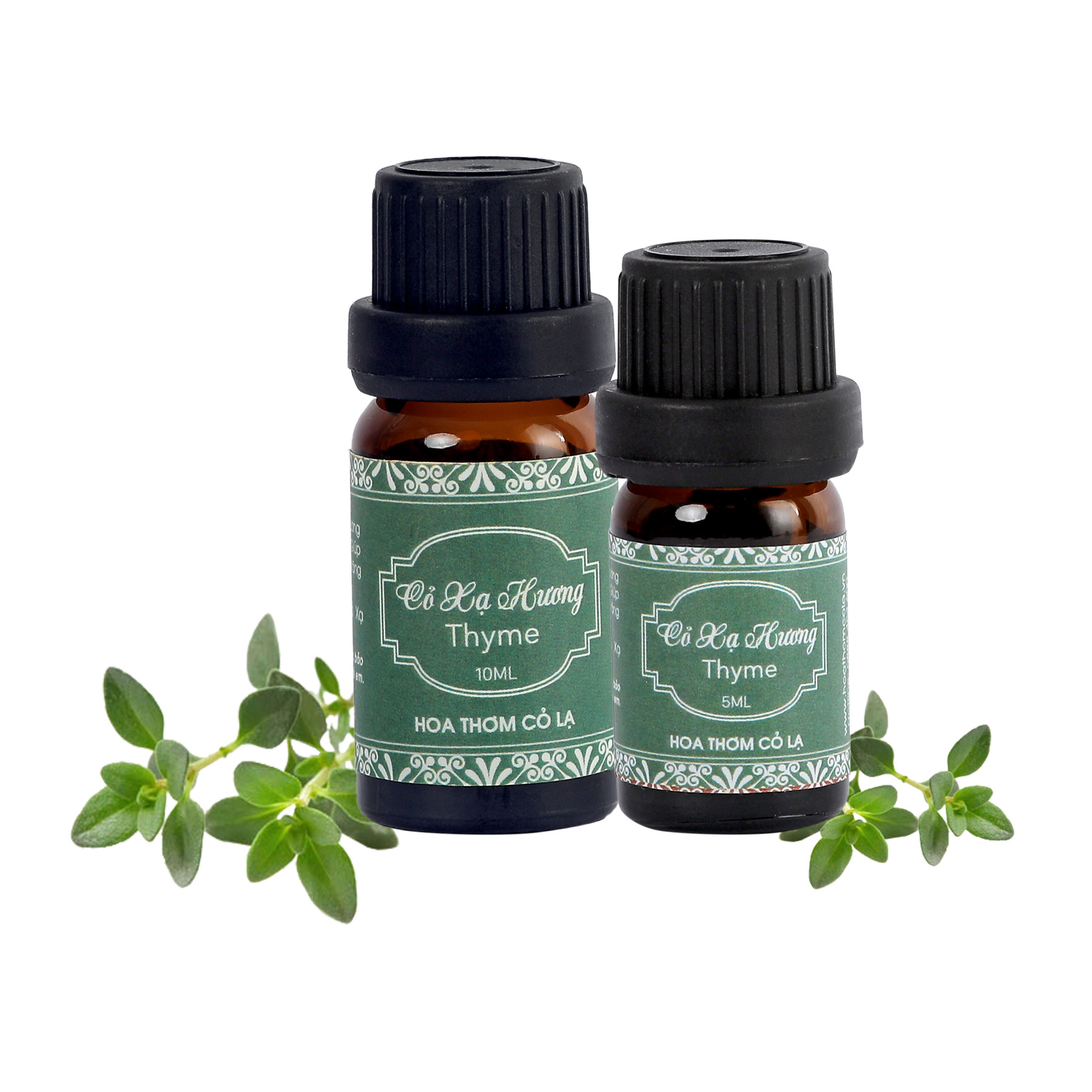 Tinh Dầu Cỏ Xạ Hương - Thyme Essential Oil 10ml - Hoa Thơm Cỏ Lạ