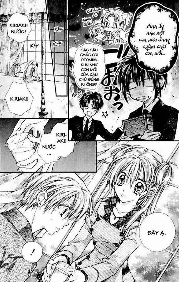 hội quý tộc chapter 28 13