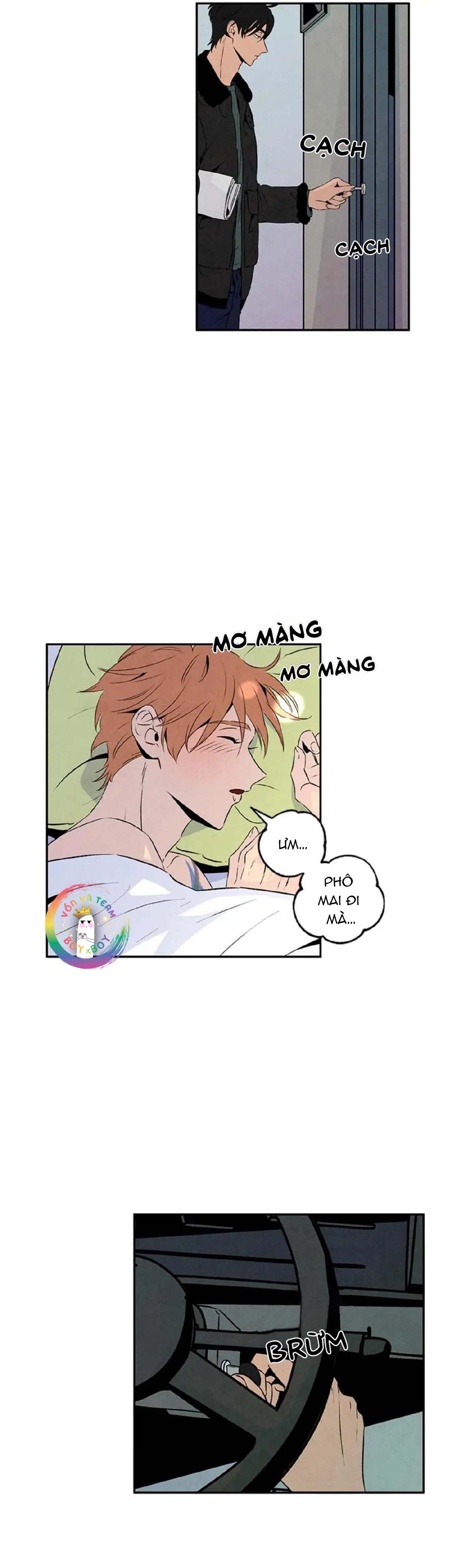 bona sort chapter 18 17