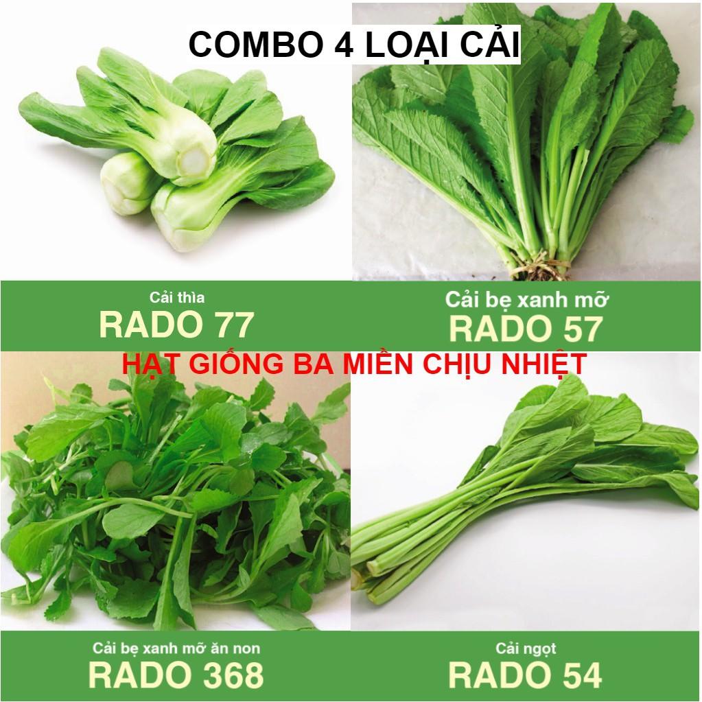 Combo 4 Loại Hạt Giống Rau Cải Chịu Nhiệt Dễ Trồng