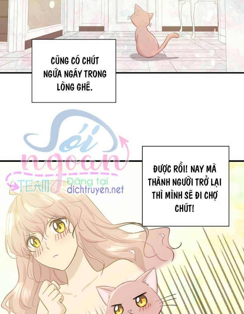 cuộc sống kỳ thú chapter 9 14