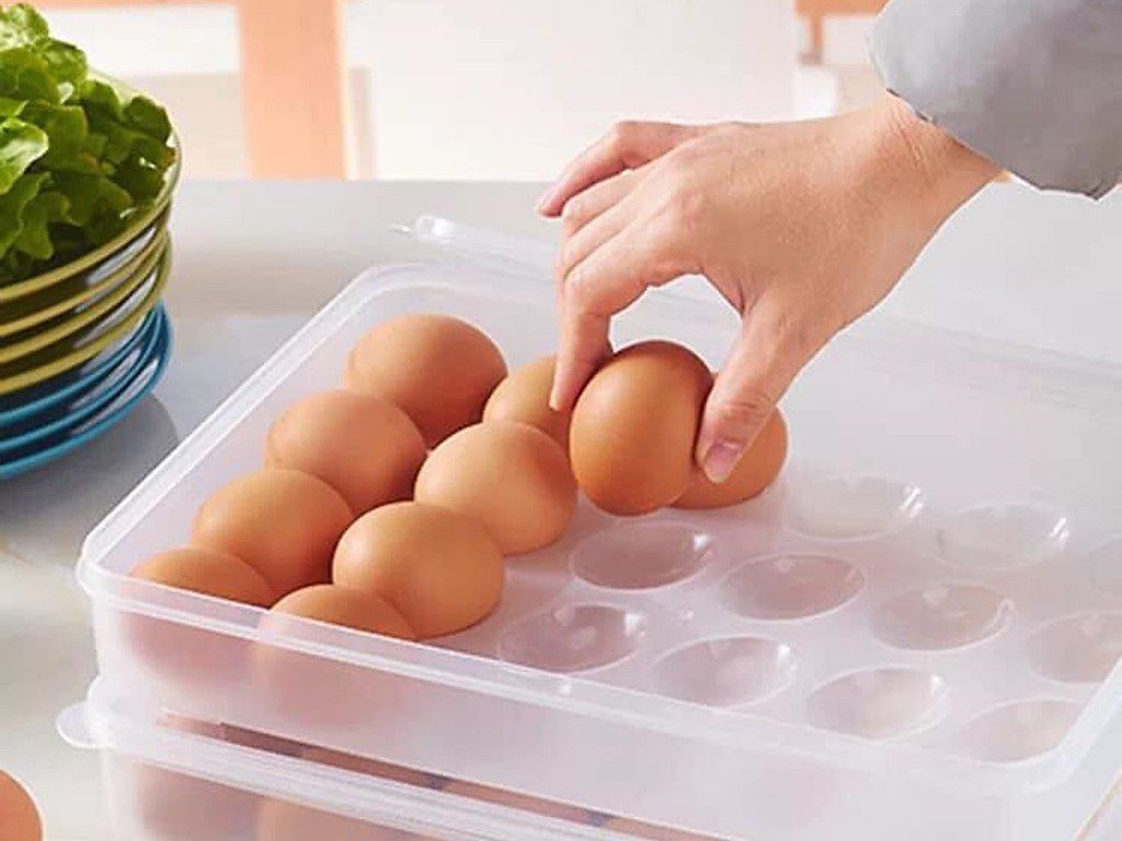 HỘP ĐỰNG TRỨNG CAO CẤP 24 QUẢ