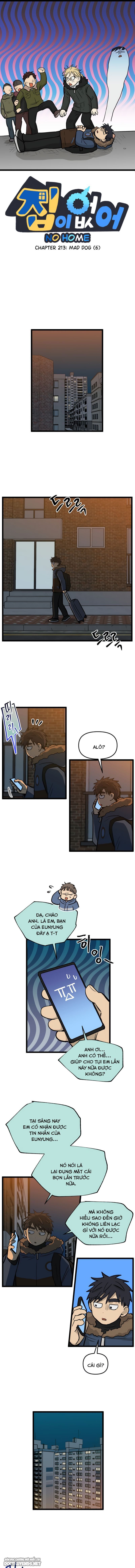 no home - không nhà chapter 213 1