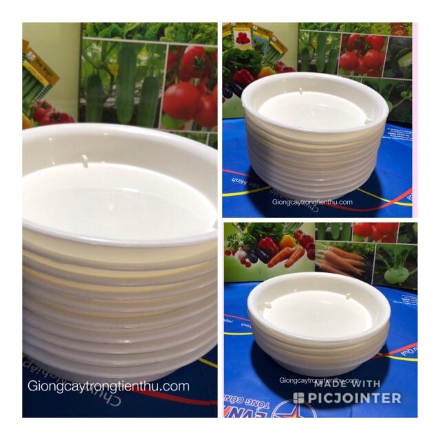 ĐĨA LÓT CHẬU CÂY CẢNH PHI 15