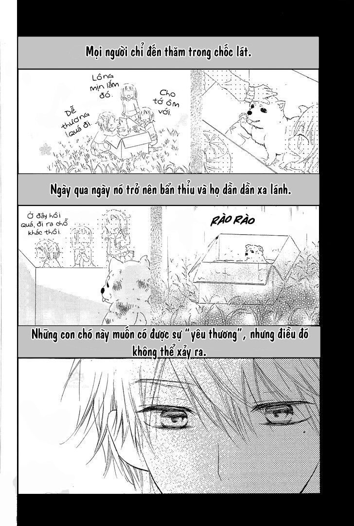 suteinu ni honey toast chapter 3 2