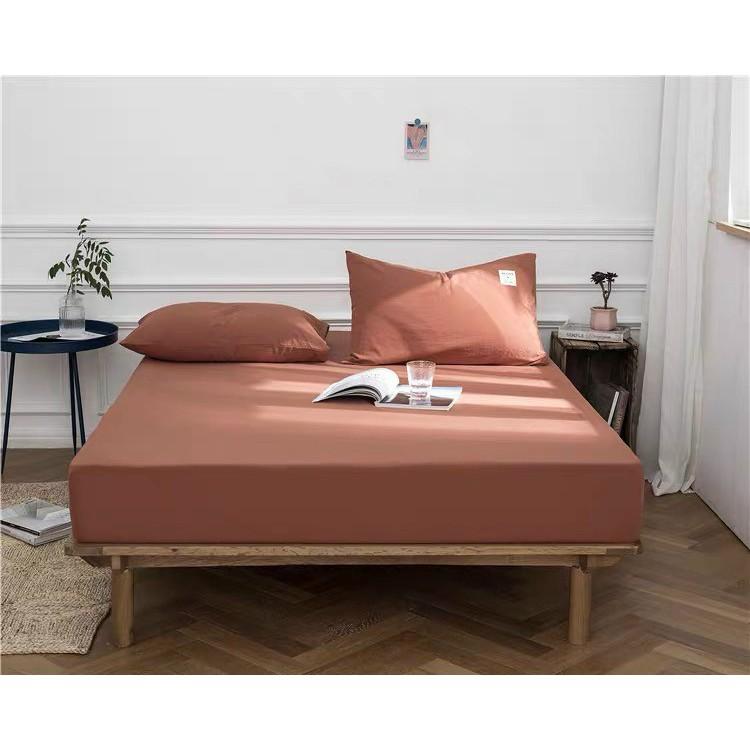 Sét ga gối cotton Tici phong cách hàn Quốc