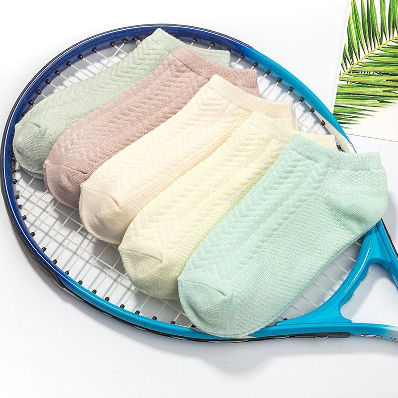 Tất vớ cổ cao và thấp dành cho nam nữ chất cotton nhiều mẫu