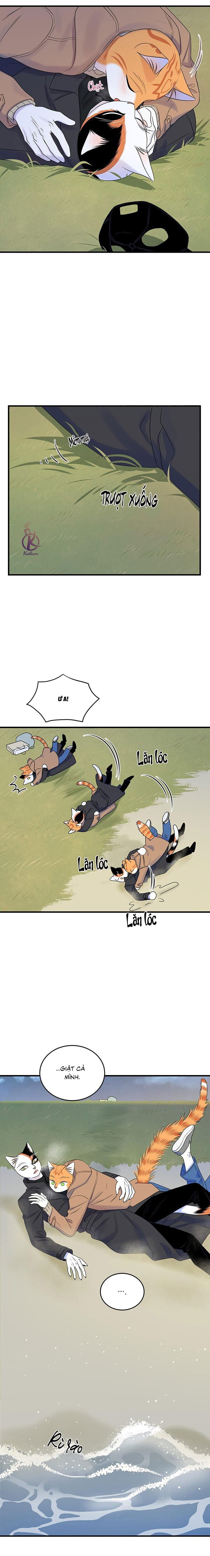 dự án xanh chapter 54 16