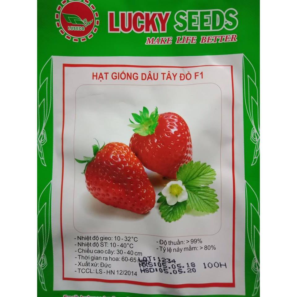 Hạt giống dâu tây đỏ F1 chịu nhiệt - Túi 100 hạt - chất lượng cao, nảy mầm tốt - Hdautaydo100h
