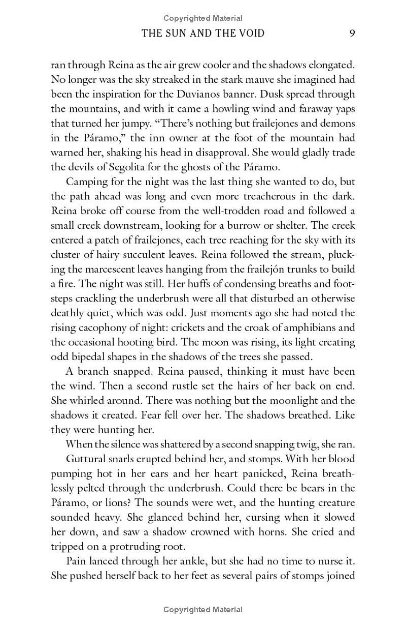 Sách ngoại văn: The Sun And The Void