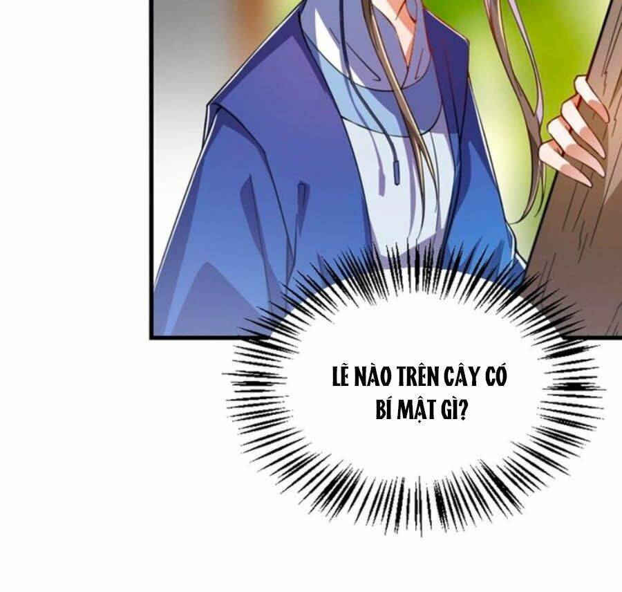 thái tử điện hạ, nô tài có hỉ rồi chapter 41 23