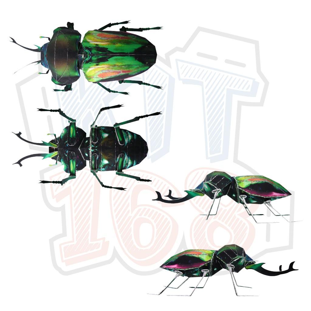 Mô hình giấy động vật côn trùng Bọ Rainbow
