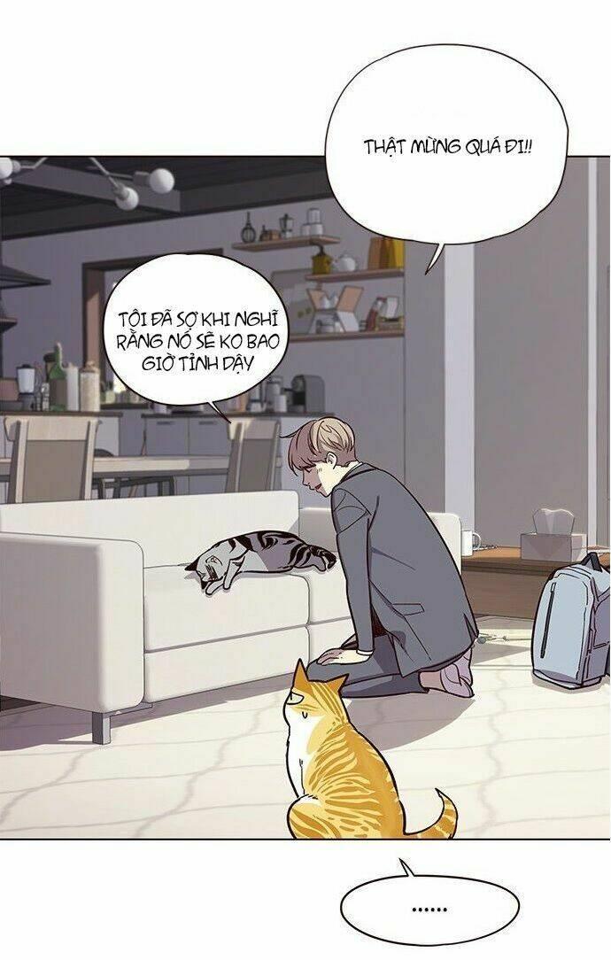 biến thân thành mèo chapter 7 54