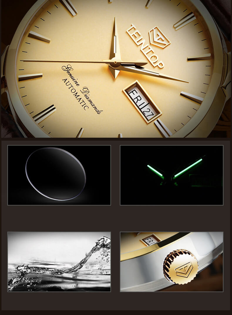Đồng hồ nam chính hãng Teintop T8646-4
