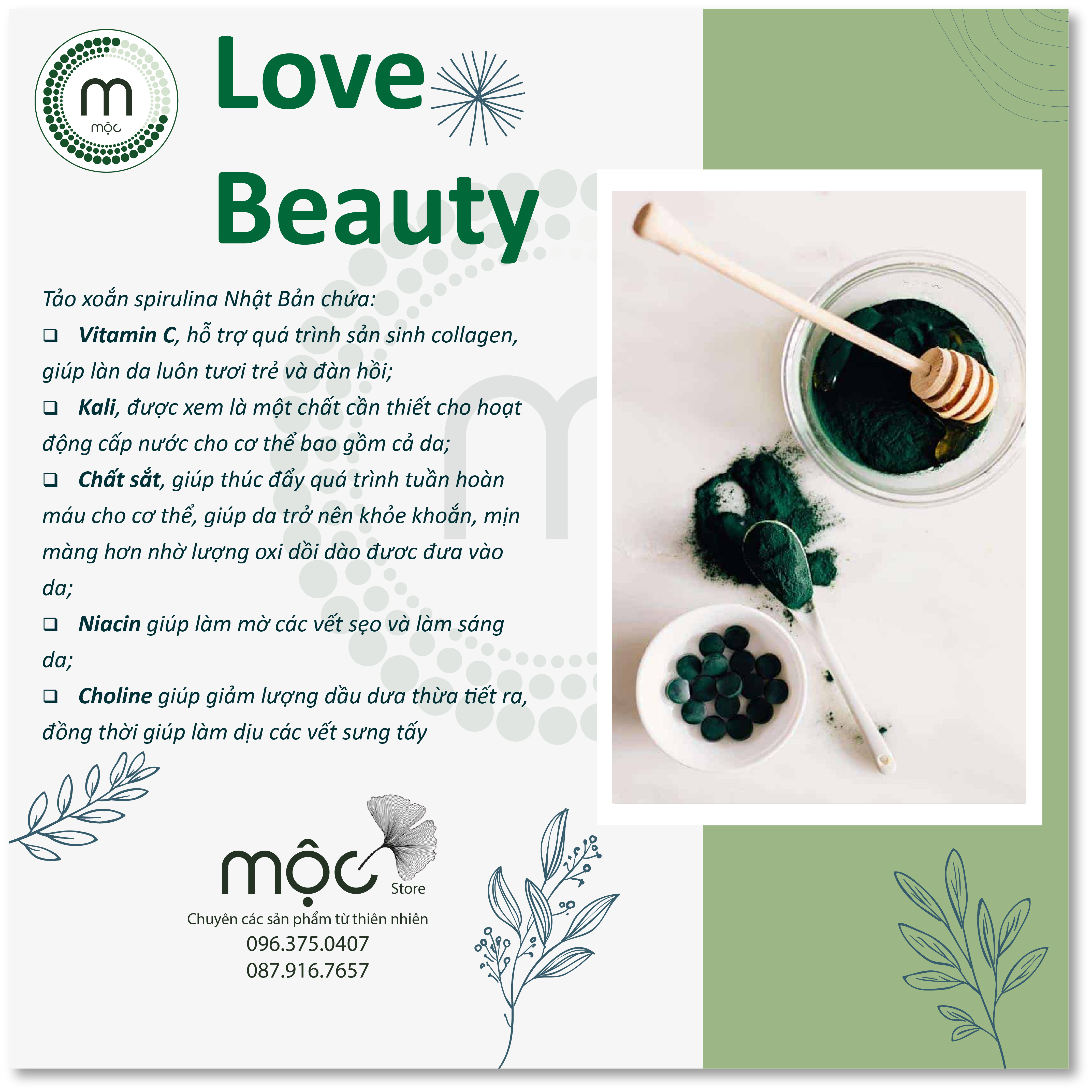 Bột Tảo Xoắn Spirulina Nhật Bản đắp mặt nguyên chất từ thiên nhiên 100ml handmade