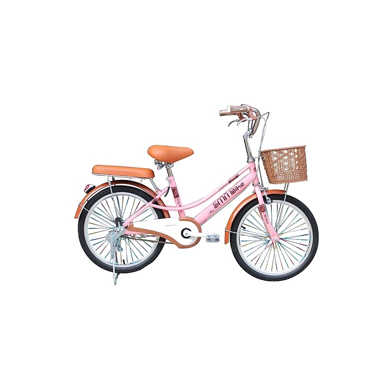 Xe đạp trẻ em SMNBike D 20-01 - Bánh 20 inch - Dành cho bé từ 7 đến 13 tuổi