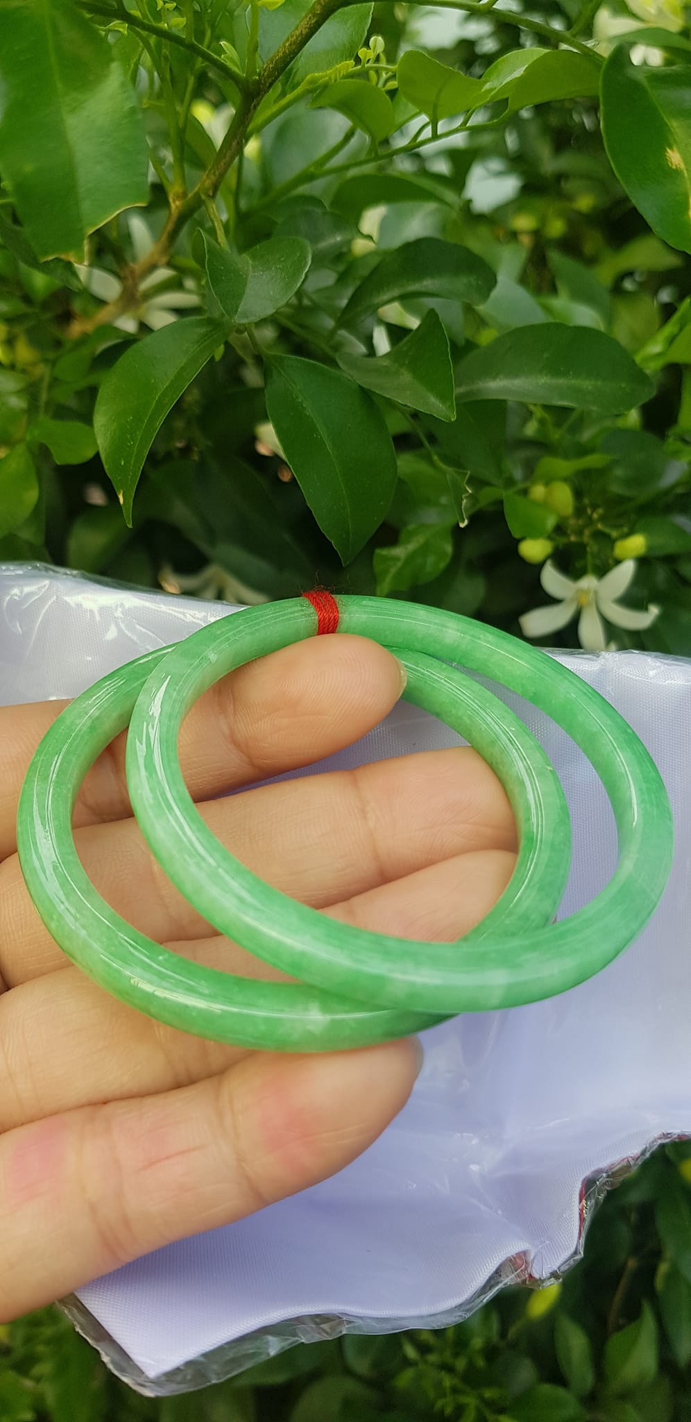 ️Cặp vòng tay đá ngọc cẩm thạch bản vuông V Đậu 50mm Size vòng 50mm x dầy 5mm x bản mỏng cao 5mm màu xanh lá ngọc đậu đều bóng đẹp Nữ Mệnh Mộc Hoả Thủy 49kg - 53kg đeo ạ